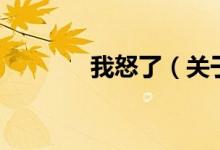 我怒了（關于我怒了的介紹）