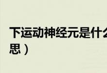 下運動神經(jīng)元是什么?。ㄏ逻\動神經(jīng)元什么意思）