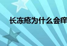 長(zhǎng)凍瘡為什么會(huì)癢（長(zhǎng)凍瘡為什么會(huì)癢）