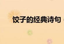 餃子的經(jīng)典詩句（餃子的經(jīng)典一句話）