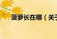 菠蘿長(zhǎng)在哪（關(guān)于菠蘿長(zhǎng)在哪的介紹）