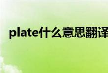 plate什么意思翻譯中文(plate什么意思)