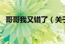 哥哥我又錯了（關(guān)于哥哥我又錯了的介紹）