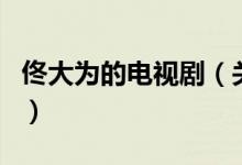 佟大為的電視?。P于佟大為的電視劇的介紹）