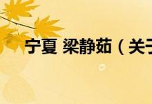 寧夏 梁靜茹（關于寧夏 梁靜茹的介紹）