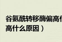 谷氨酰轉移酶偏高什么問題(谷氨酰轉移酶偏高什么原因)