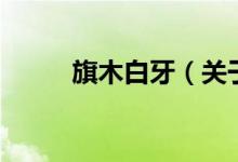 旗木白牙（關(guān)于旗木白牙的介紹）