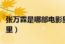 張萬(wàn)霖是哪部電影里的（張萬(wàn)霖是哪部電視劇里）