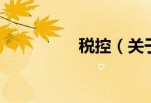 稅控（關于稅控的介紹）