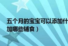 五個(gè)月的寶寶可以添加什么樣的輔食（5個(gè)多月寶寶可以添加哪些輔食）