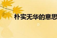 樸實無華的意思（樸實無華的意思）