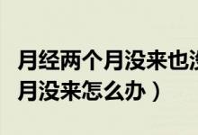 月經(jīng)兩個(gè)月沒(méi)來(lái)也沒(méi)懷孕吃什么藥（月經(jīng)兩個(gè)月沒(méi)來(lái)怎么辦）