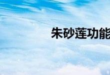 朱砂蓮功能主治(朱砂蓮)