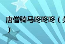 唐僧騎馬咚咚咚（關于唐僧騎馬咚咚咚的介紹）