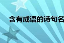 含有成語(yǔ)的詩(shī)句名句(含有成語(yǔ)的詩(shī)句)