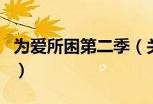 為愛所困第二季（關(guān)于為愛所困第二季的介紹）