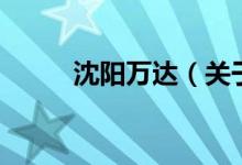 沈陽(yáng)萬(wàn)達(dá)（關(guān)于沈陽(yáng)萬(wàn)達(dá)的介紹）