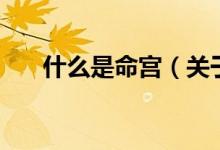 什么是命宮（關于什么是命宮的介紹）
