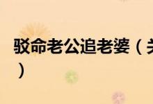 駁命老公追老婆（關于駁命老公追老婆的介紹）