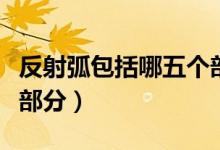 反射弧包括哪五個部分圖（反射弧包括哪五個部分）