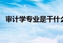 審計學(xué)專業(yè)是干什么的（就業(yè)方向有哪些）