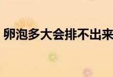 卵泡多大會(huì)排不出來(lái)（卵泡多大會(huì)排出卵子）