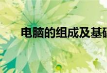 電腦的組成及基礎(chǔ)知識（電腦的組成）