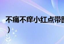 不痛不癢小紅點(diǎn)帶圖（不痛不癢小紅點(diǎn)怎么辦）