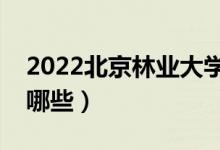 2022北京林業(yè)大學(xué)專(zhuān)業(yè)排名（最好的專(zhuān)業(yè)有哪些）