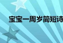 寶寶一周歲簡(jiǎn)短詩(shī)詞（寶寶一周歲食譜）