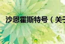 沙恩霍斯特號(hào)（關(guān)于沙恩霍斯特號(hào)的介紹）