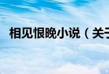 相見恨晚小說（關于相見恨晚小說的介紹）
