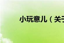 小玩意兒（關于小玩意兒的介紹）