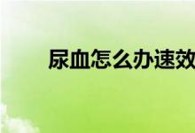 尿血怎么辦速效方法(尿血怎么辦)