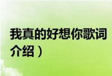 我真的好想你歌詞（關于我真的好想你歌詞的介紹）