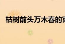 枯樹前頭萬(wàn)木春的寓意（枯樹前頭萬(wàn)木春）
