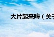 大片起來嗨（關(guān)于大片起來嗨的介紹）