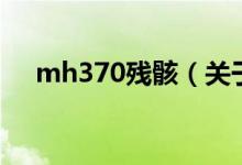 mh370殘骸（關于mh370殘骸的介紹）