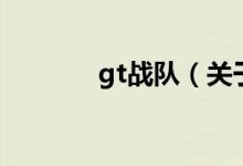gt戰(zhàn)隊(關于gt戰(zhàn)隊的介紹)