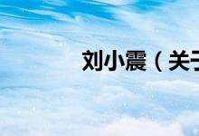 劉小震（關于劉小震的介紹）
