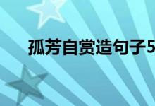 孤芳自賞造句子50字(孤芳自賞造句)