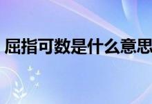 屈指可數(shù)是什么意思(屈指可數(shù)是什么意思)