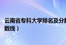 云南省專(zhuān)科大學(xué)排名及分?jǐn)?shù)線（2022云南專(zhuān)科大學(xué)排名及分?jǐn)?shù)線）