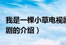 我是一棵小草電視?。P(guān)于我是一棵小草電視劇的介紹）