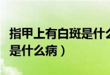 指甲上有白斑是什么病的前兆（指甲上有白斑是什么?。?class=