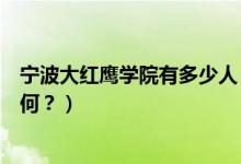寧波大紅鷹學(xué)院有多少人（寧波大紅鷹學(xué)院怎么樣？評價如何？）