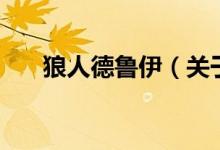 狼人德魯伊（關于狼人德魯伊的介紹）