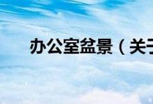 辦公室盆景（關于辦公室盆景的介紹）