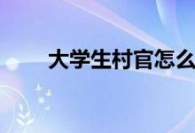 大學生村官怎么報考(流程是什么)