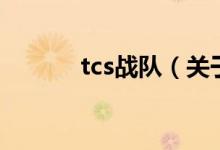 tcs戰(zhàn)隊(duì)（關(guān)于tcs戰(zhàn)隊(duì)的介紹）